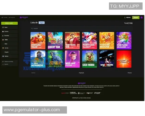 pg电子模拟器网站版-探索PG电子模拟器网站版，虚拟体验的新境界-pg电子模拟器网站版